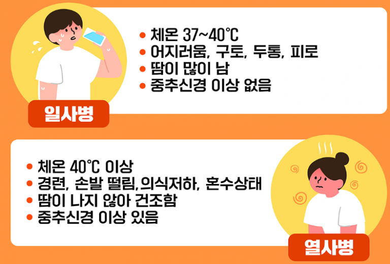일사병과 열사병의 차이 및 구분법은? [예방]