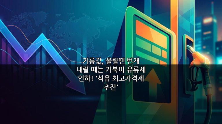 기름값, 올릴땐 번개 내릴 때는 거북이 유류세 인하! ‘석유 최고가격제 추진’