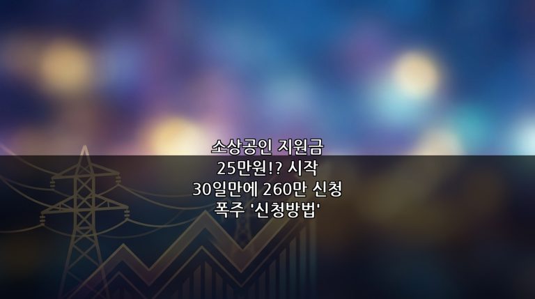 소상공인 지원금 25만원!? 시작 30일만에 260만 신청 폭주 ‘신청방법’